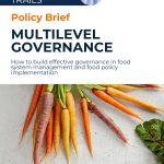 Policy Brief  “Multilevel Governance”